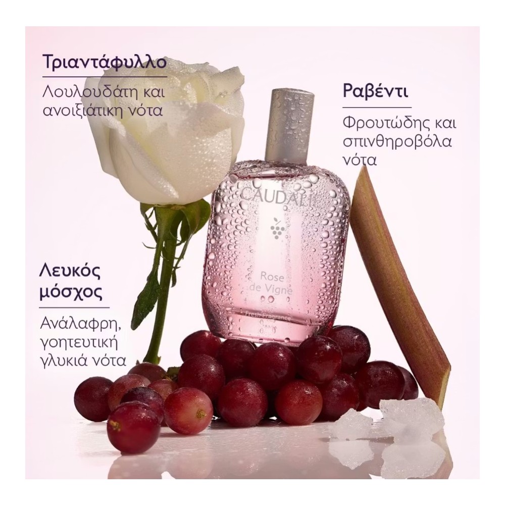 Preview 3 of Caudalie Rose de Vigne Fresh Fragrance Γυναικείο Άρωμα 50ml
