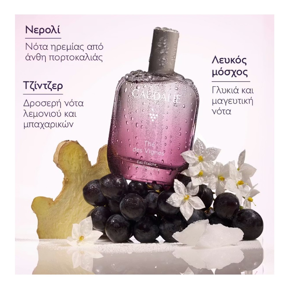 Preview 3 of Caudalie Fresh Fragrance The des Vignes Γυναικείο Άρωμα 100ml
