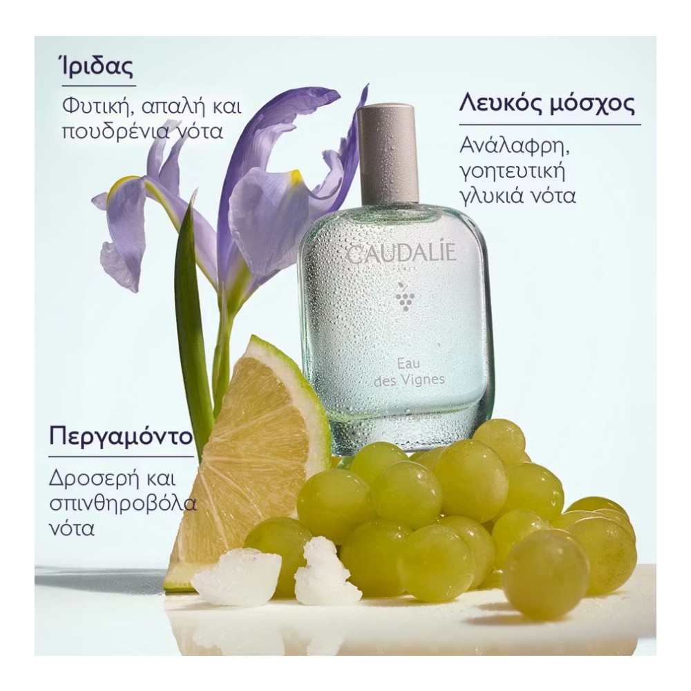 Preview 3 of Caudalie Eau des Vignes Fraiche Fragrance Γυναικείο Άρωμα 50ml