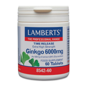 Lamberts Ginkgo Biloba Extract 6000 mg X 60 Tabs για τη μνήμη και την κυκλοφορία άκρων.
