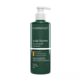 Pharmasept Ξηρό Σαμπουάν κατά της Πιτυρίδας για Ξηρά Μαλλιά 400ml