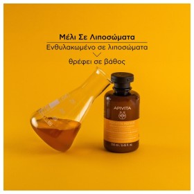 Apivita Keratin Repair Ξηρό Σαμπουάν Αναδόμησης/Θρέψης για Ξηρά Μαλλιά 250ml – φωτογραφία 3