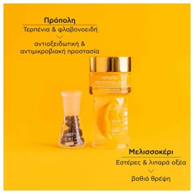 Apivita Beessential Oils Night Balm Προσώπου Νύχτας Συμπλήρωμα Ενδυνάμωσης & Θρέψης 15ml – φωτογραφία 3