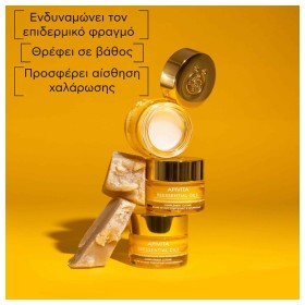 Apivita Beessential Oils Night Balm Προσώπου Νύχτας Συμπλήρωμα Ενδυνάμωσης & Θρέψης 15ml – φωτογραφία 2