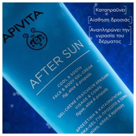 Apivita TRAVEL SIZE After Sun Δροσιστική & Καταπραϋντική Κρέμα-Τζελ Για Πρόσωπο & Σώμα Limited Edition 100ml – φωτογραφία 5