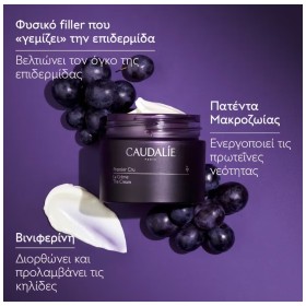 Caudalie Premier Cru The Cream Refill Κρέμα Ολικής Αντιγήρανσης για Όλους τους Τύπους Επιδερμίδας Ανταλλακτικό 50ml – φωτογραφία 3