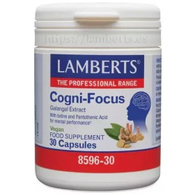 Lamberts Cogni-focus Galangal Ειδικό Συμπλήρωμα Διατροφής 30 κάψουλες