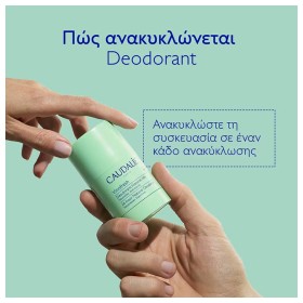 Caudalie Vinofresh Natural Stick Deodorant Αποσμητικό με Ευκάλυπτο & Σταφύλι Χωρίς Αλκοόλ 50gr – φωτογραφία 3