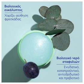 Caudalie Vinofresh Natural Stick Deodorant Αποσμητικό με Ευκάλυπτο & Σταφύλι Χωρίς Αλκοόλ 50gr – φωτογραφία 5