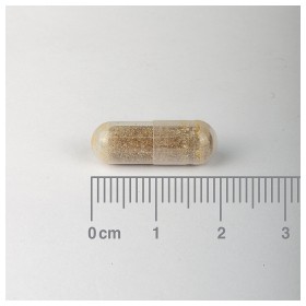Preview 2 of Lamberts Ashwagandha Advance Συμπλήρωμα Διατροφής για Ενίσχυση του Ανοσοποιητικού 60 κάψουλες