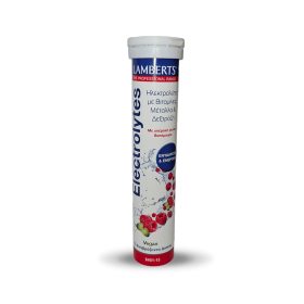 Lamberts Electrolytes Ηλεκτρολύτες με Βιταμίνες, Μέταλλα & Δεξτρόζη με γεύση Βατόμουρο 13 αναβράζοντα δισκία