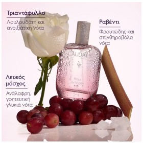 Preview 3 of Caudalie Rose de Vigne Fresh Fragrance Γυναικείο Άρωμα 50ml