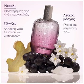 Preview 3 of Caudalie Fresh Fragrance The des Vignes Γυναικείο Άρωμα 100ml