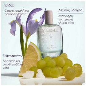 Preview 3 of Caudalie Eau des Vignes Fraiche Fragrance Γυναικείο Άρωμα 50ml