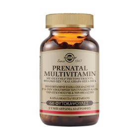 Solgar Prenatal Multivitamin Πολυβιταμίνη Ειδικά Σχεδιασμένη για την Υποστήριξη των Γυναικών κατά την Εγκυμοσύνη & τον Θηλασμό 60 Φυτοκάψουλες