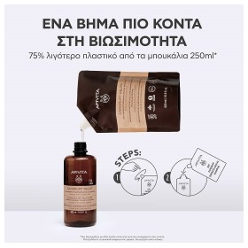Apivita Dandruff Relief Σαμπουάν κατά της Ξηροδερμίας Refill 500ml – φωτογραφία 2