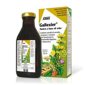 Power Health Floradix Gallexier Liquid 250ml