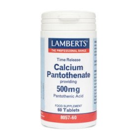 Lamberts Calcium Pantothenate 500mg