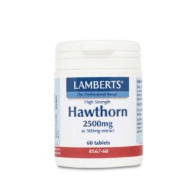 Lamberts Hawthorn 2500mg Βότανο με Καρδιοτονωτικές Ιδιότητες, 60tabs