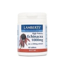 Lamberts Echinacea 1000mg 60tabs - Ενίσχυση ανοσοποιητικού συστήματος